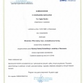 Powiększ obraz: certificate 25