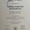 Powiększ obraz: certificate 2