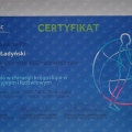 Powiększ obraz: certificate 1