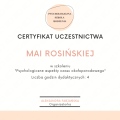 Powiększ obraz: certificate 3