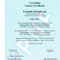 Powiększ obraz: certificate 3