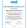 Powiększ obraz: certificate 40