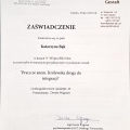 Powiększ obraz: certificate 1