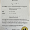 Powiększ obraz: certificate 2