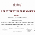 Powiększ obraz: certificate 7