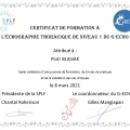 Powiększ obraz: certificate 103