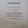 Powiększ obraz: certificate 13