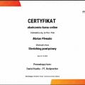 Powiększ obraz: certificate 11