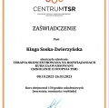 Powiększ obraz: certificate 3