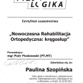 Powiększ obraz: certificate 7
