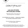 Powiększ obraz: certificate 6