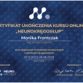 Powiększ obraz: certificate 11