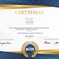 Powiększ obraz: certificate 4