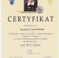 Powiększ obraz: certificate 13