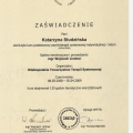 Powiększ obraz: certificate 27