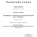 Powiększ obraz: certificate 3