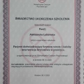 Powiększ obraz: certificate 4