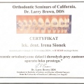 Powiększ obraz: certificate 14