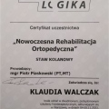 Powiększ obraz: certificate 6