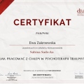 Powiększ obraz: certificate 6