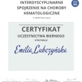Powiększ obraz: certificate 7