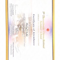 Powiększ obraz: certificate 23