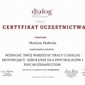 Powiększ obraz: certificate 3