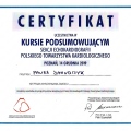 Powiększ obraz: certificate 11