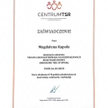 Powiększ obraz: certificate 2