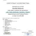 Powiększ obraz: certificate 1