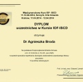 Powiększ obraz: certificate 1