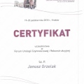 Powiększ obraz: certificate 1