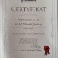 Powiększ obraz: certificate 1