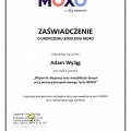 Powiększ obraz: certificate 1