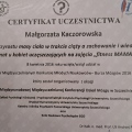 Powiększ obraz: certificate 48