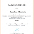Powiększ obraz: certificate 2
