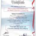 Powiększ obraz: certificate 2