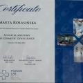 Powiększ obraz: certificate 1
