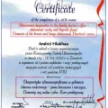 Powiększ obraz: certificate 4