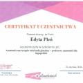 Powiększ obraz: certificate 22