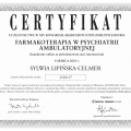 Powiększ obraz: certificate 5
