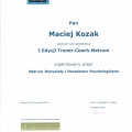Powiększ obraz: certificate 2