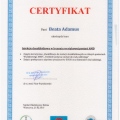 Powiększ obraz: certificate 13