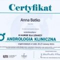 Powiększ obraz: certificate 4