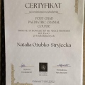 Powiększ obraz: certificate 17