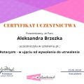 Powiększ obraz: certificate 1