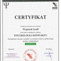 Powiększ obraz: certificate 9