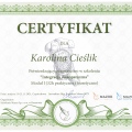 Powiększ obraz: certificate 11