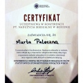 Powiększ obraz: certificate 3
