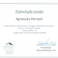 Powiększ obraz: certificate 4